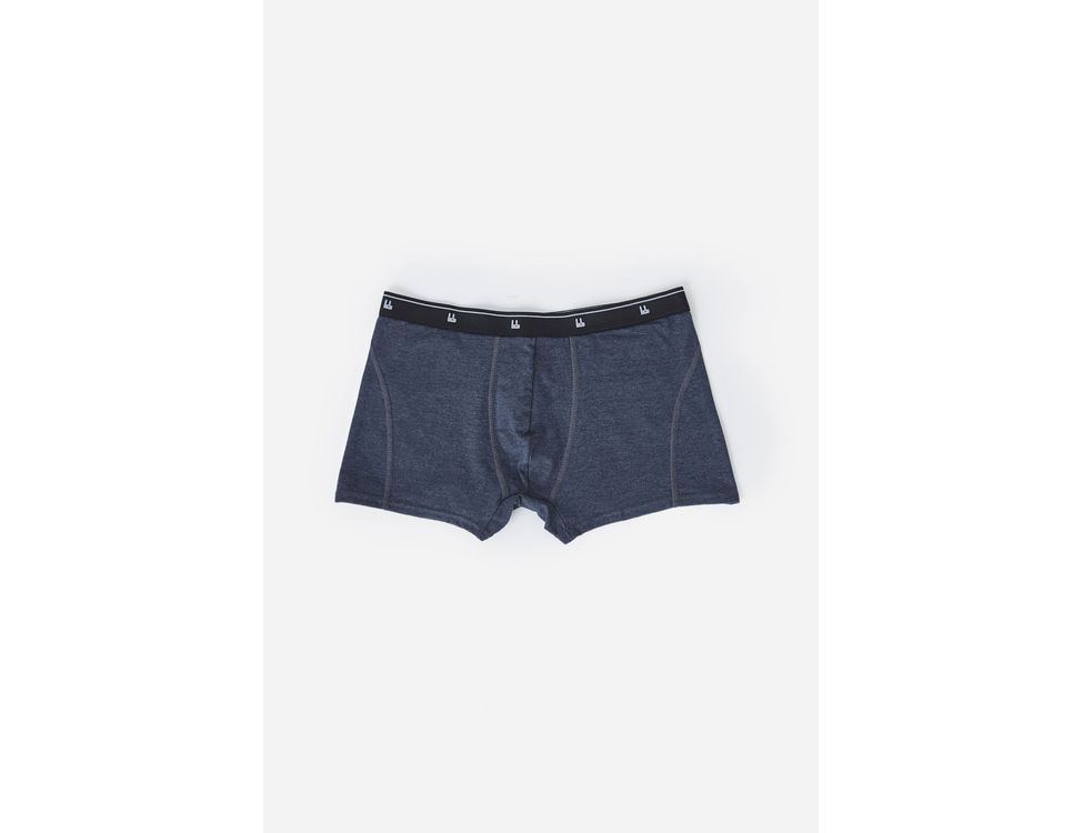 702076_0192_1-CUECA-ALGODAO-BOXER