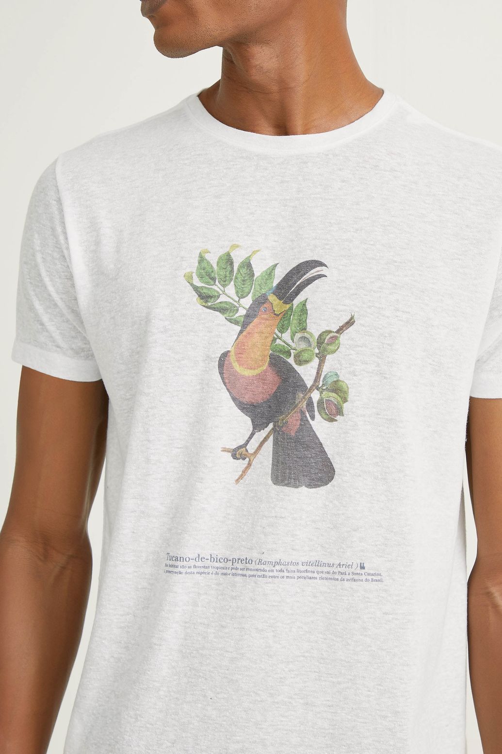 camisas tucano