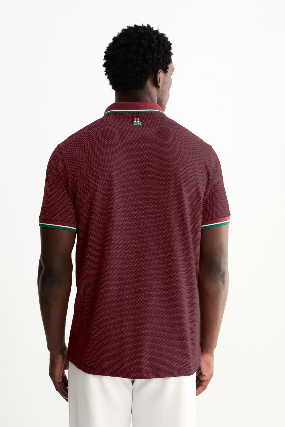 Polo Assis