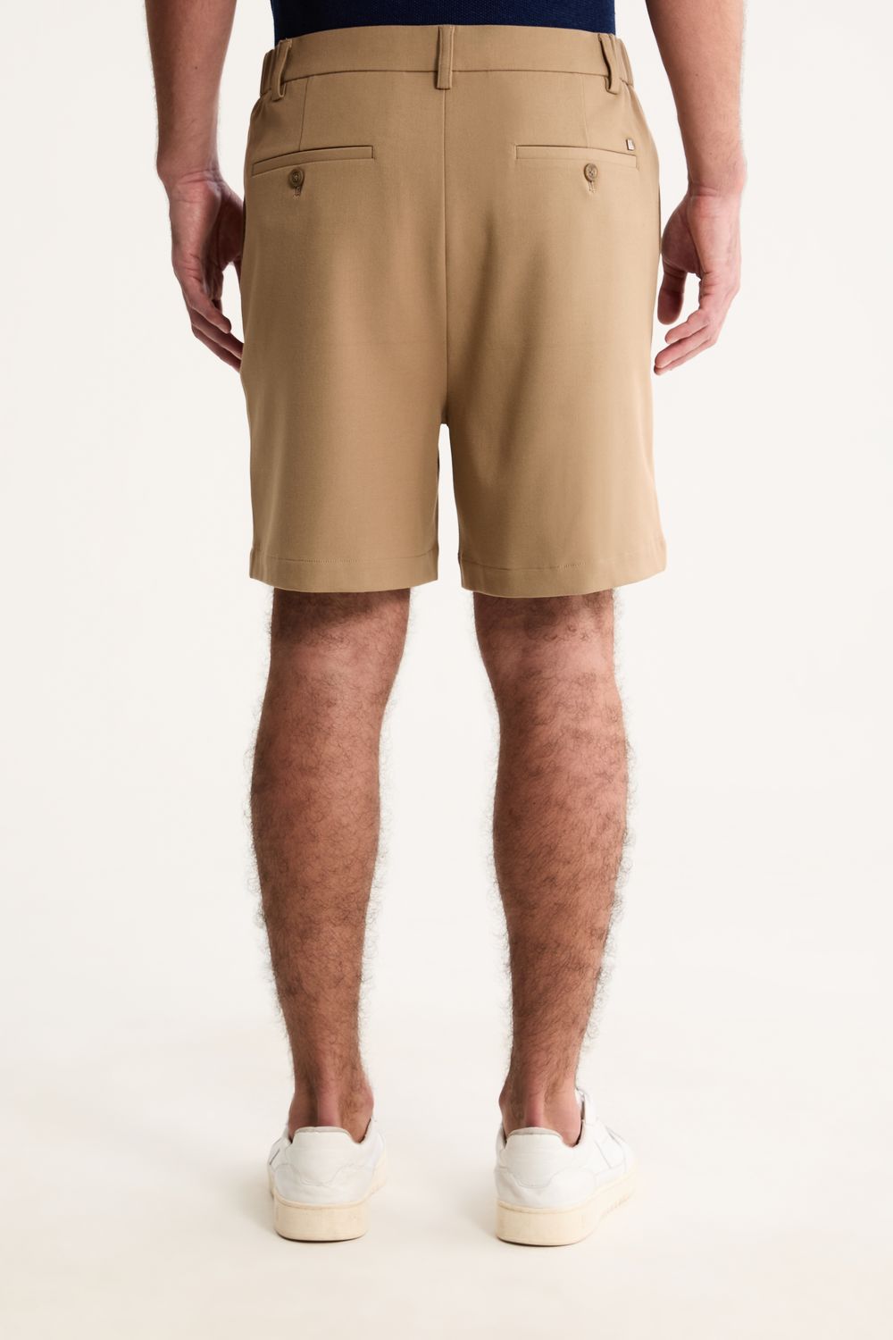 Bermuda Flexus